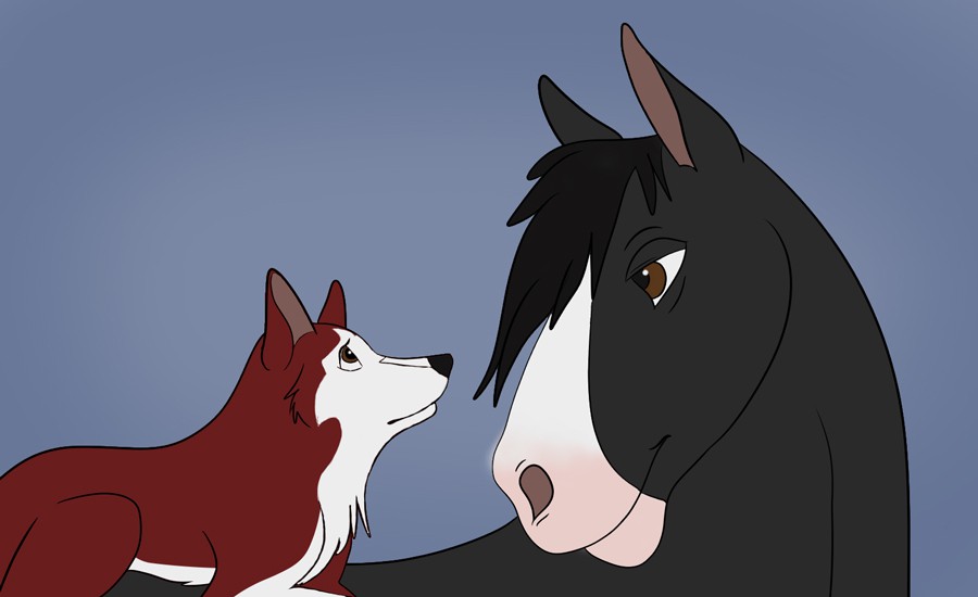 Paz & Kodi