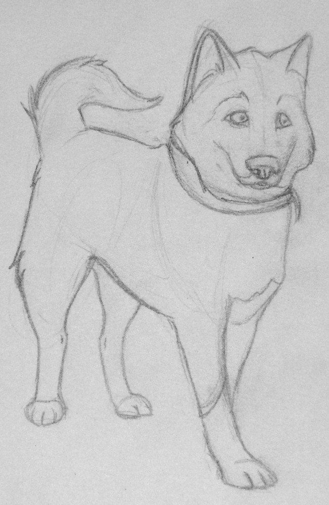 Real Balto