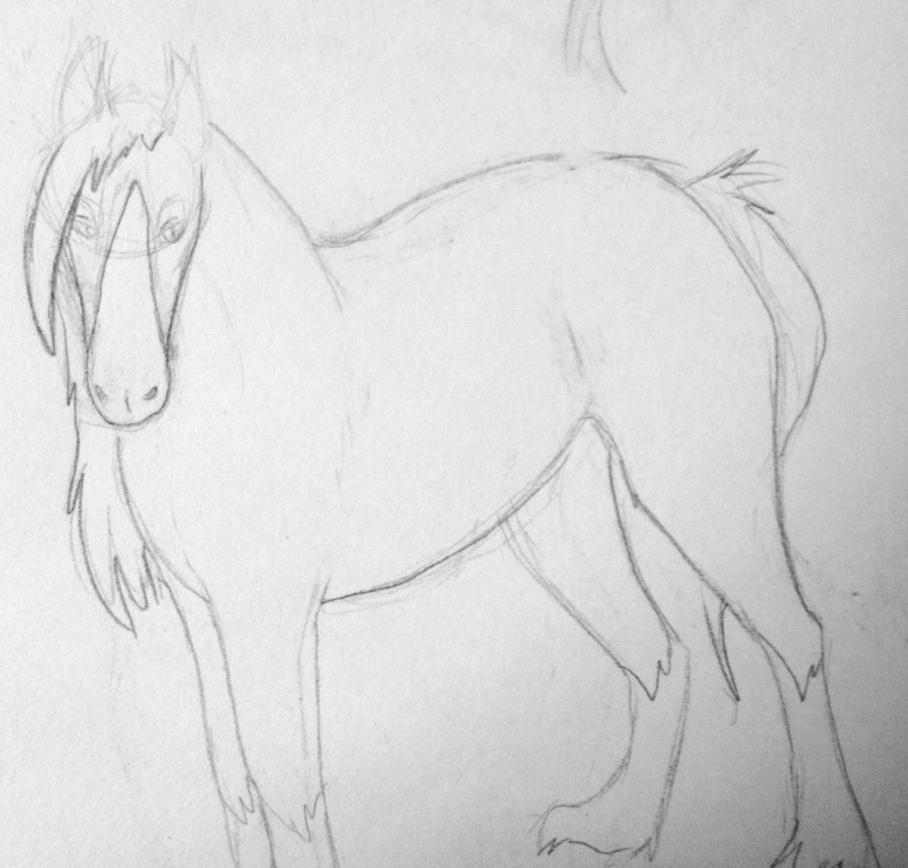Body design