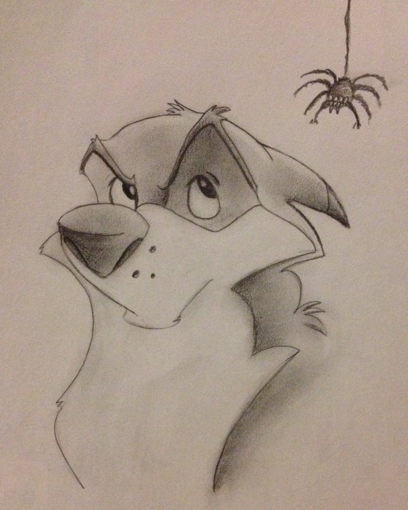 It's just a little spider