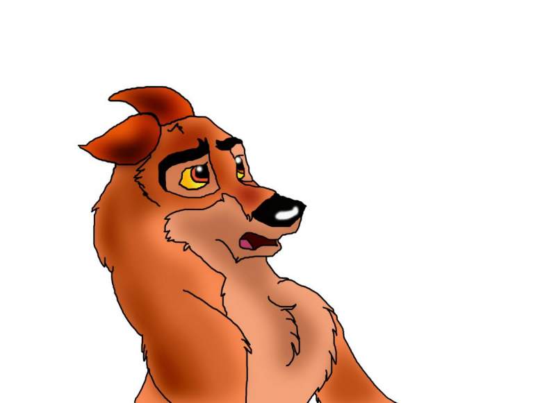 Balto doodle