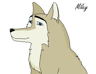 Aleu gift