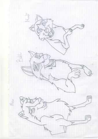 Balto kodi et Aleu