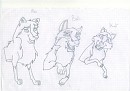 une partie de la famille de Balto