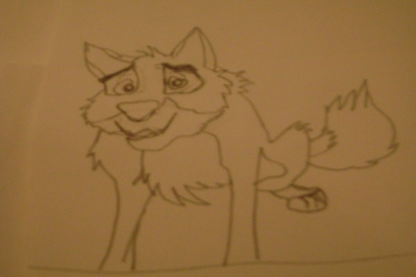 Balto!