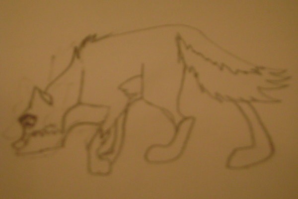 Balto Sniffing