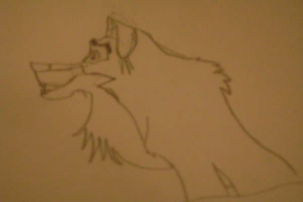 Balto loves Jenna