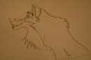 Balto loves Jenna