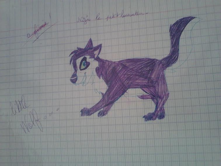 niju au stylo
