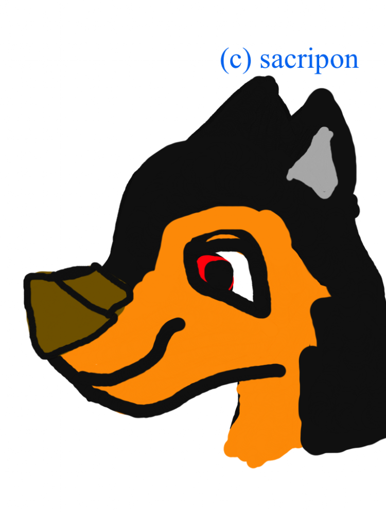 1er dessin de penny 