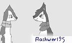 Flashwer195