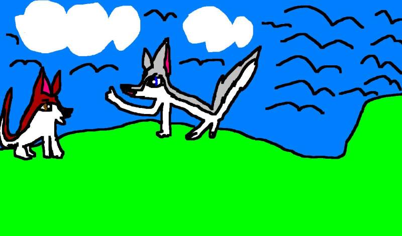 ALEU AND CODY