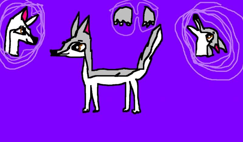 BALTO