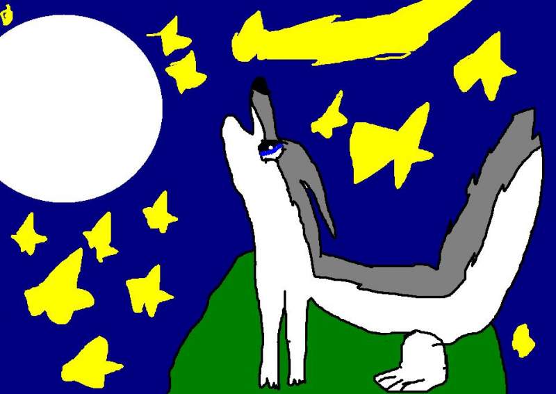 wolf night