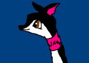 Jane