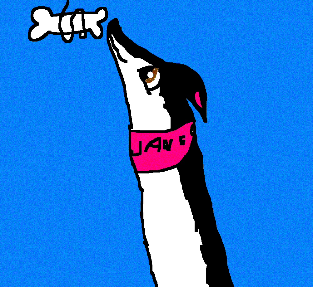 Jane Hungry