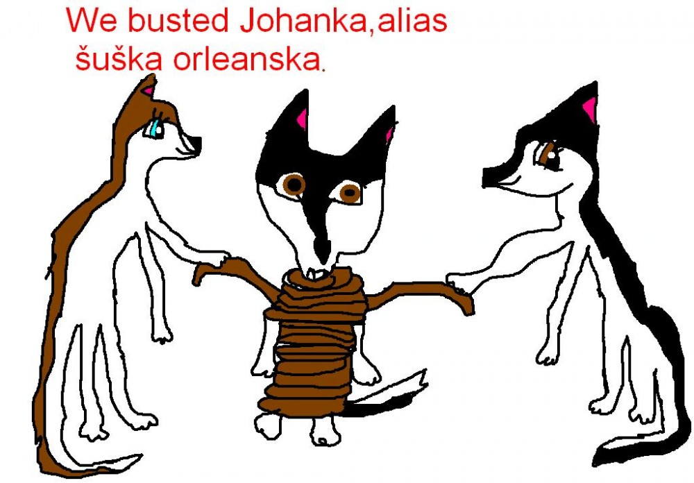 We busted Johanka allias šuška orelanska