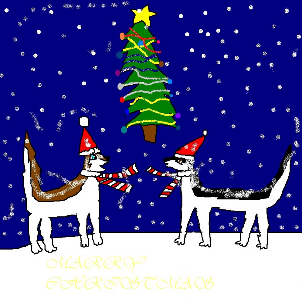 Marry Christmas
