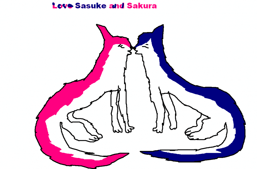 Sasuke and Sakura love