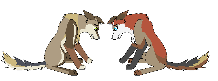 Fan pups Mutt x Candence