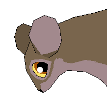 Balto mice xD