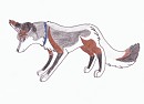 Abasko