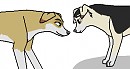 Felix and Renecca xD