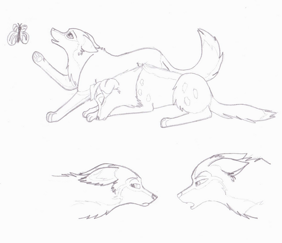Kricket's pack