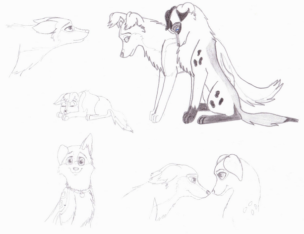 Doodles