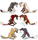 Fan pupies xD