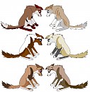 Fan pupies part 2 xD