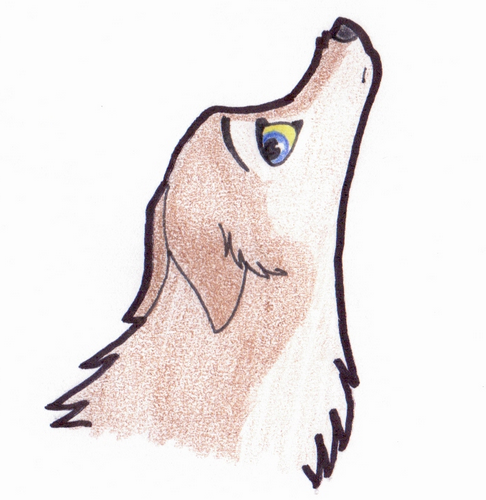 Aleu