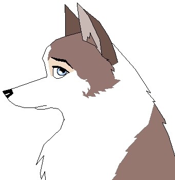Kit