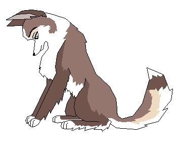 Poor Kitsune...