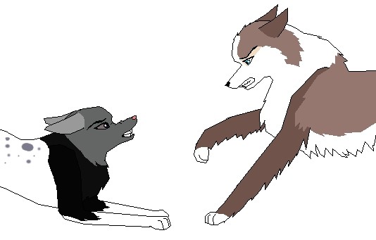 Iris vs Kitsune