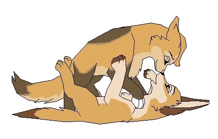 Tino and Dino