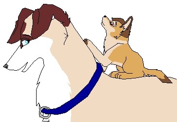 Clenot and Tino