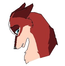 Sad Katsu