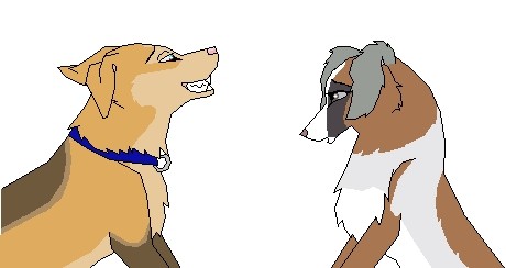 Dino and Jayris