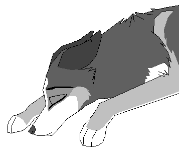 Sleeping Suki