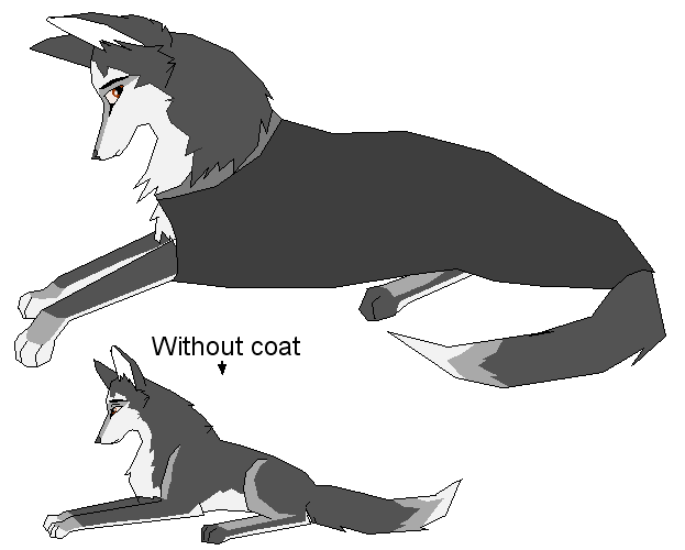 New character- Severus :)