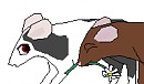 Mice again xD