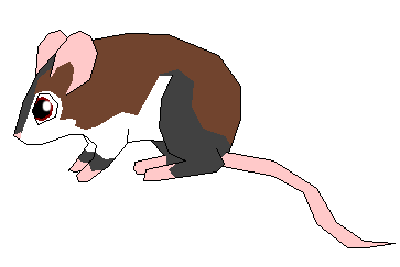 Muru and Miley's fan son xD