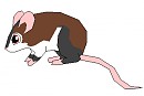 Muru and Miley's fan son xD