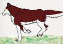jenna as a wolf