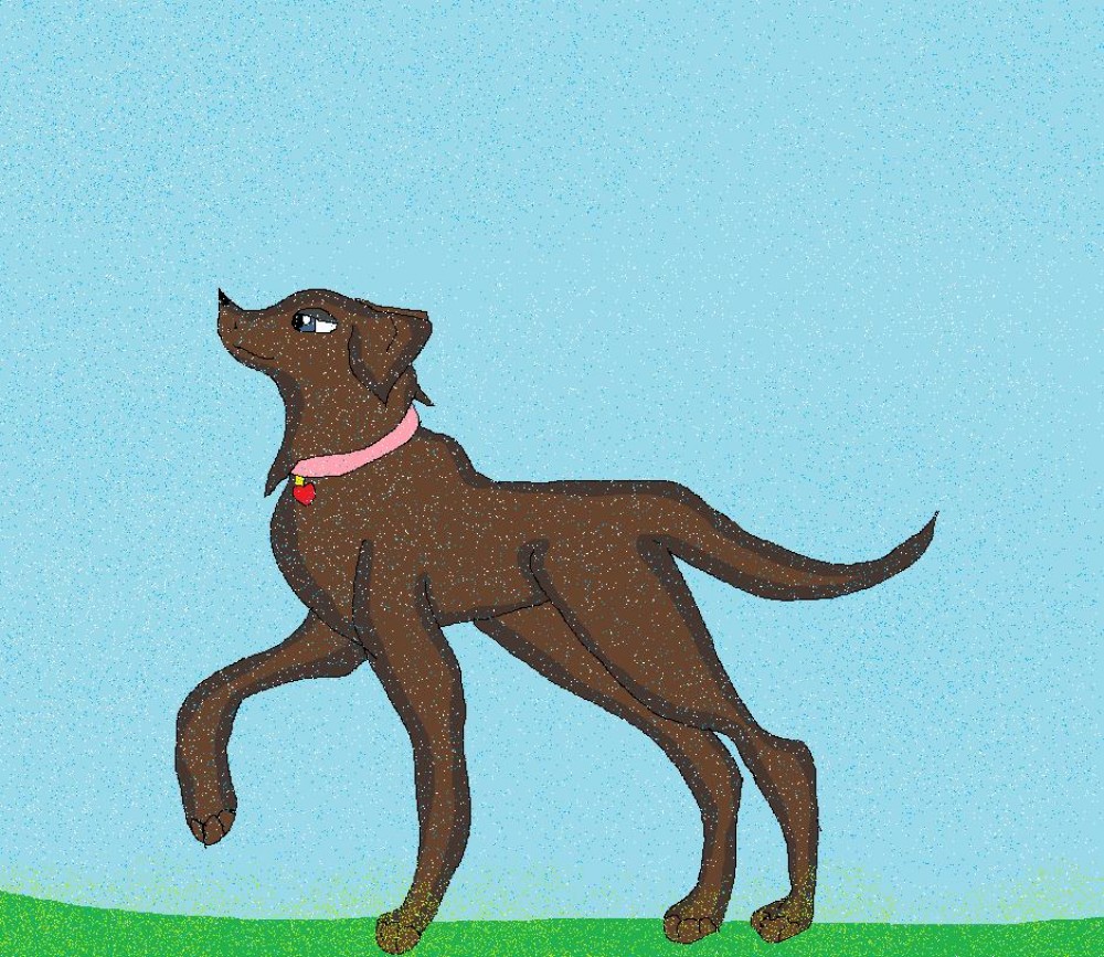 this is a picture of my puppy Candi