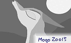 Mogo Zoo13