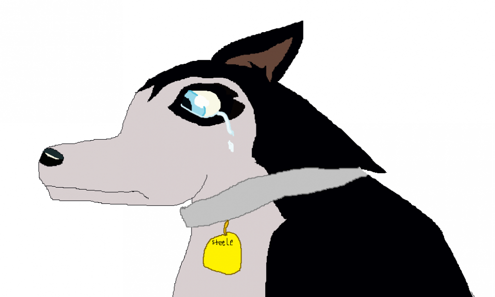 Steele's golden collar taken from him