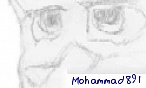 Mohammad891