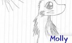 molly